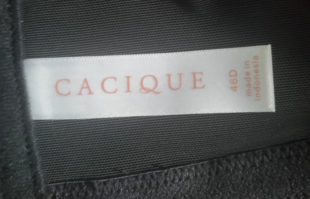 NWOT 46D Cacique High Neck Mesh Bra